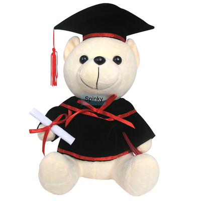 grad teddy bear